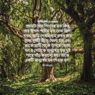 Picture 04 - দানিয়েল 7:4 BENIRV - প্রথমটা ছিল - Bible Verse Picture