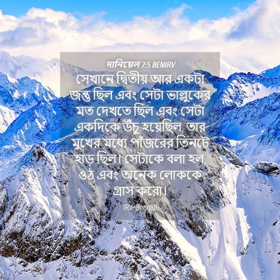 Picture 04 - দানিয়েল 7:5 BENIRV - সেখানে দ্বিতীয় - Bible Verse Picture
