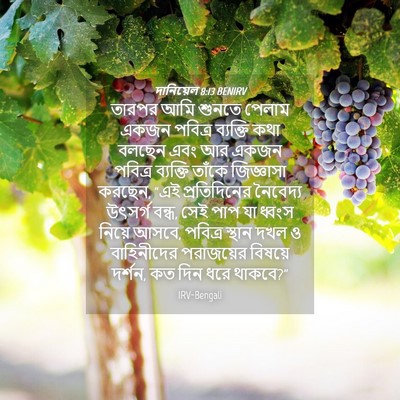 Picture 04 - দানিয়েল 8:13 BENIRV - তারপর আমি শুনতে - Bible Verse Picture