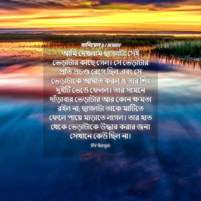 Picture 04 - দানিয়েল 8:7 BENIRV - আমি দেখলাম ছাগলটা - Bible Verse Picture