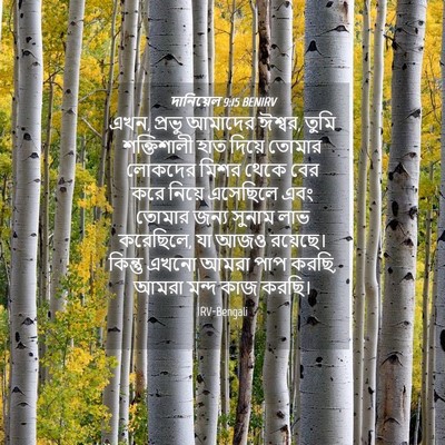 Picture 04 - দানিয়েল 9:15 BENIRV - এখন, প্রভু আমাদের - Bible Verse Picture