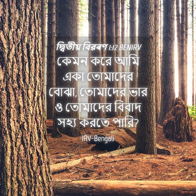 Picture 04 - দ্বিতীয় বিৱৰণ 1:12 BENIRV - কেমন করে আমি একা - Bible Verse Picture