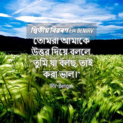 Picture 04 - দ্বিতীয় বিৱৰণ 1:14 BENIRV - তোমরা আমাকে উত্তর - Bible Verse Picture
