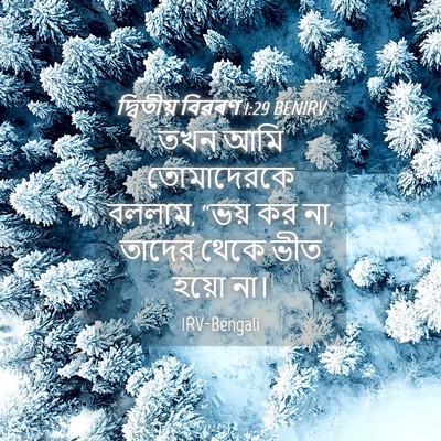 Picture 04 - দ্বিতীয় বিৱৰণ 1:29 BENIRV - তখন আমি তোমাদেরকে - Bible Verse Picture
