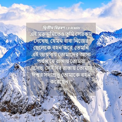 Picture 04 - দ্বিতীয় বিৱৰণ 1:31 BENIRV - এই মরুভূমিতেও - Bible Verse Picture