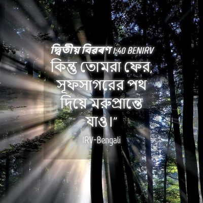 Picture 04 - দ্বিতীয় বিৱৰণ 1:40 BENIRV - কিন্তু তোমরা ফের, - Bible Verse Picture