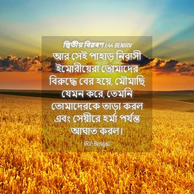 Picture 04 - দ্বিতীয় বিৱৰণ 1:44 BENIRV - আর সেই পাহাড় - Bible Verse Picture