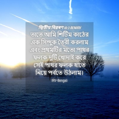 Picture 04 - দ্বিতীয় বিৱৰণ 10:3 BENIRV - তাতে আমি শিটিম - Bible Verse Picture