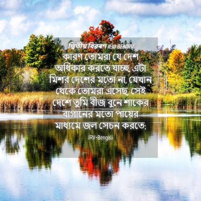 Picture 04 - দ্বিতীয় বিৱৰণ 11:10 BENIRV - কারণ তোমরা যে দেশ - Bible Verse Picture