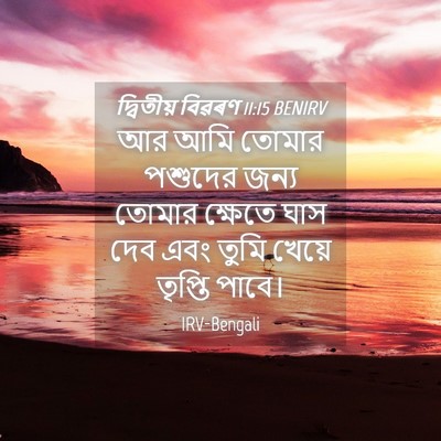 Picture 04 - দ্বিতীয় বিৱৰণ 11:15 BENIRV - আর আমি তোমার - Bible Verse Picture