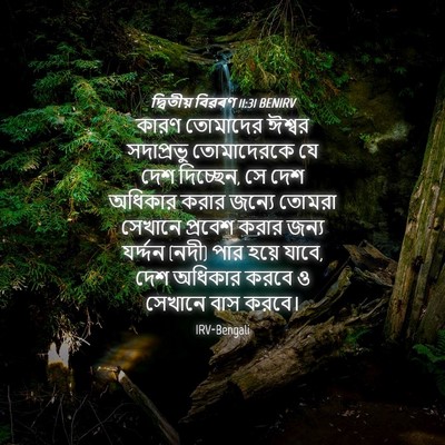 Picture 04 - দ্বিতীয় বিৱৰণ 11:31 BENIRV - কারণ তোমাদের - Bible Verse Picture