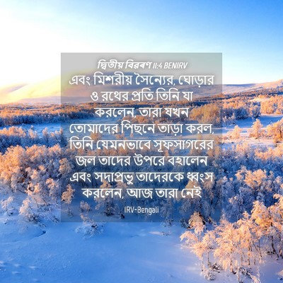 Picture 04 - দ্বিতীয় বিৱৰণ 11:4 BENIRV - এবং মিশরীয় - Bible Verse Picture