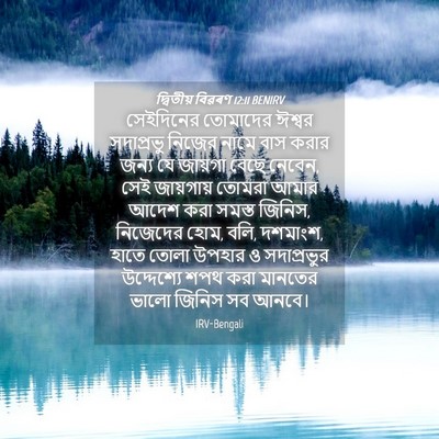 Picture 04 - দ্বিতীয় বিৱৰণ 12:11 BENIRV - সেইদিনের তোমাদের - Bible Verse Picture