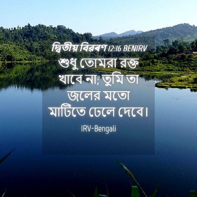 Picture 04 - দ্বিতীয় বিৱৰণ 12:16 BENIRV - শুধু তোমরা রক্ত - Bible Verse Picture
