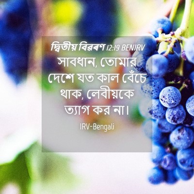 Picture 04 - দ্বিতীয় বিৱৰণ 12:19 BENIRV - সাবধান, তোমার দেশে - Bible Verse Picture