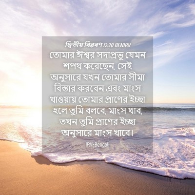 Picture 04 - দ্বিতীয় বিৱৰণ 12:20 BENIRV - তোমার ঈশ্বর - Bible Verse Picture