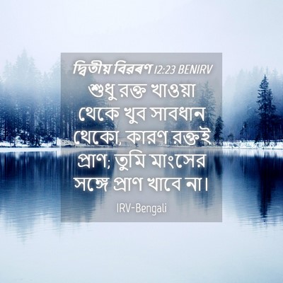 Picture 04 - দ্বিতীয় বিৱৰণ 12:23 BENIRV - শুধু রক্ত খাওয়া - Bible Verse Picture