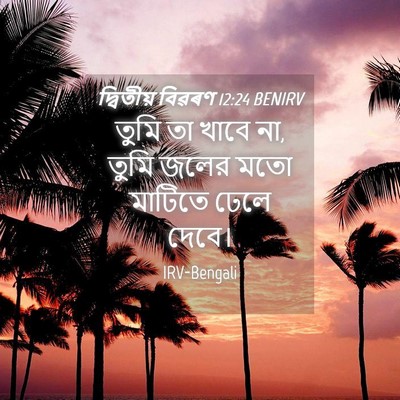 Picture 04 - দ্বিতীয় বিৱৰণ 12:24 BENIRV - তুমি তা খাবে না, - Bible Verse Picture