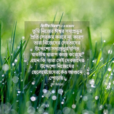 Picture 04 - দ্বিতীয় বিৱৰণ 12:31 BENIRV - তুমি নিজের ঈশ্বর - Bible Verse Picture