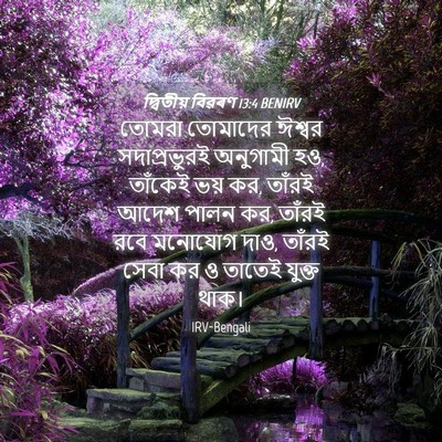 Picture 04 - দ্বিতীয় বিৱৰণ 13:4 BENIRV - তোমরা তোমাদের - Bible Verse Picture