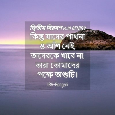 Picture 04 - দ্বিতীয় বিৱৰণ 14:10 BENIRV - কিন্তু যাদের - Bible Verse Picture