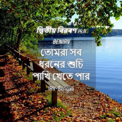 Picture 04 - দ্বিতীয় বিৱৰণ 14:11 BENIRV - তোমরা সব ধরনের - Bible Verse Picture