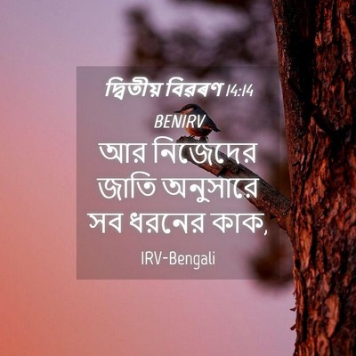 Picture 04 - দ্বিতীয় বিৱৰণ 14:14 BENIRV - আর নিজেদের জাতি - Bible Verse Picture
