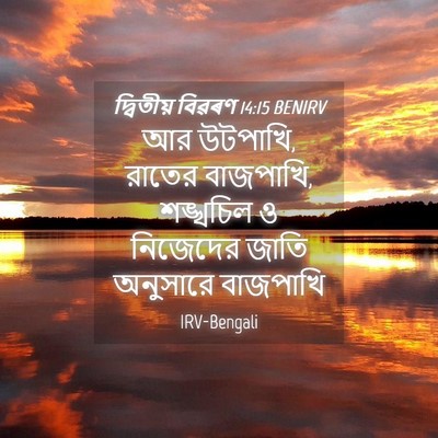 Picture 04 - দ্বিতীয় বিৱৰণ 14:15 BENIRV - আর উটপাখি, রাতের - Bible Verse Picture
