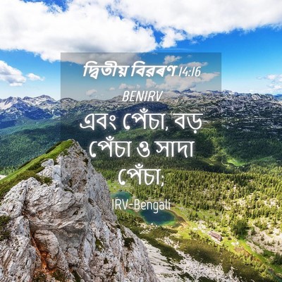 Picture 04 - দ্বিতীয় বিৱৰণ 14:16 BENIRV - এবং পেঁচা, বড় - Bible Verse Picture