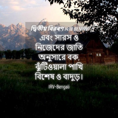 Picture 04 - দ্বিতীয় বিৱৰণ 14:18 BENIRV - এবং সারস ও নিজেদের - Bible Verse Picture