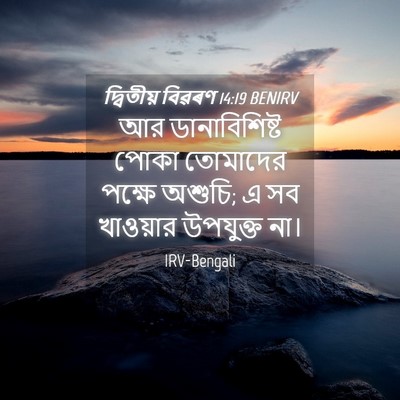 Picture 04 - দ্বিতীয় বিৱৰণ 14:19 BENIRV - আর ডানাবিশিষ্ট - Bible Verse Picture