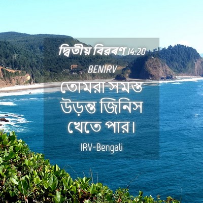 Picture 04 - দ্বিতীয় বিৱৰণ 14:20 BENIRV - তোমরা সমস্ত - Bible Verse Picture