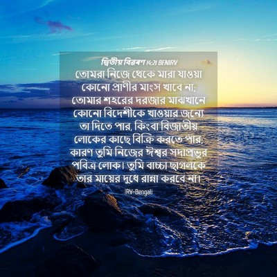 Picture 04 - দ্বিতীয় বিৱৰণ 14:21 BENIRV - তোমরা নিজে থেকে - Bible Verse Picture