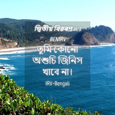 Picture 04 - দ্বিতীয় বিৱৰণ 14:3 BENIRV - তুমি কোনো অশুচি - Bible Verse Picture