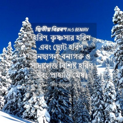 Picture 04 - দ্বিতীয় বিৱৰণ 14:5 BENIRV - হরিণ, কৃষ্ণসার - Bible Verse Picture