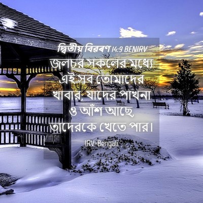 Picture 04 - দ্বিতীয় বিৱৰণ 14:9 BENIRV - জলচর সকলের মধ্যে - Bible Verse Picture