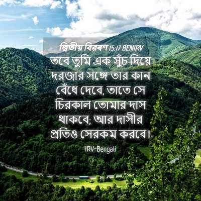 Picture 04 - দ্বিতীয় বিৱৰণ 15:17 BENIRV - তবে তুমি এক সুঁচ - Bible Verse Picture