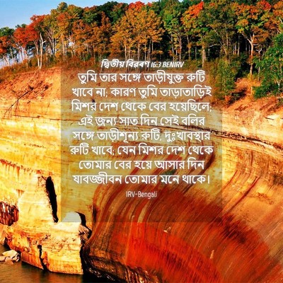 Picture 04 - দ্বিতীয় বিৱৰণ 16:3 BENIRV - তুমি তার সঙ্গে - Bible Verse Picture