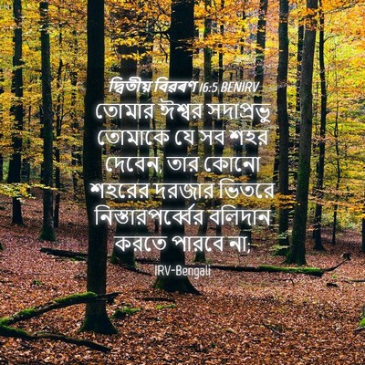 Picture 04 - দ্বিতীয় বিৱৰণ 16:5 BENIRV - তোমার ঈশ্বর - Bible Verse Picture