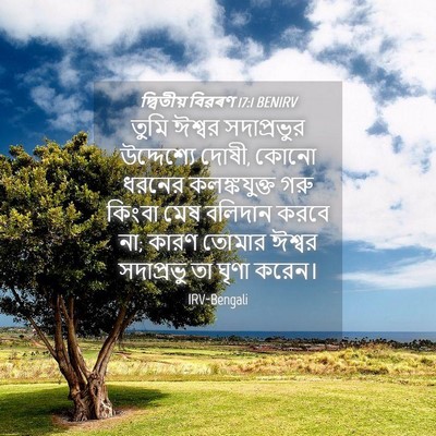 Picture 04 - দ্বিতীয় বিৱৰণ 17:1 BENIRV - তুমি ঈশ্বর - Bible Verse Picture