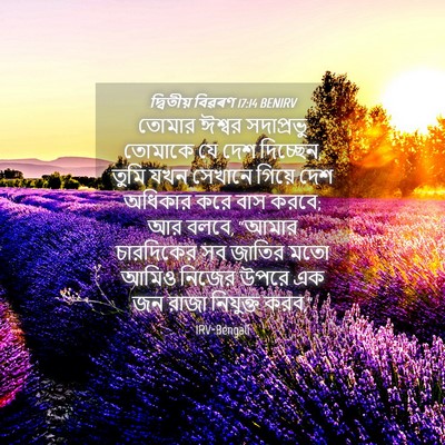 Picture 04 - দ্বিতীয় বিৱৰণ 17:14 BENIRV - তোমার ঈশ্বর - Bible Verse Picture