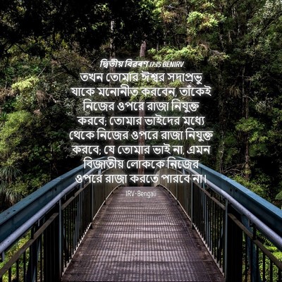Picture 04 - দ্বিতীয় বিৱৰণ 17:15 BENIRV - তখন তোমার ঈশ্বর - Bible Verse Picture