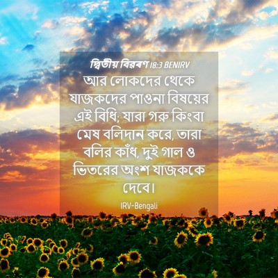 Picture 04 - দ্বিতীয় বিৱৰণ 18:3 BENIRV - আর লোকদের থেকে - Bible Verse Picture