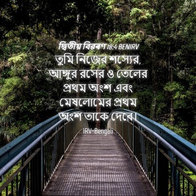 Picture 04 - দ্বিতীয় বিৱৰণ 18:4 BENIRV - তুমি নিজের শস্যের, - Bible Verse Picture