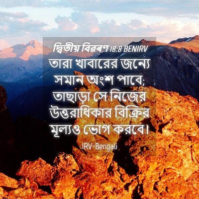 Picture 04 - দ্বিতীয় বিৱৰণ 18:8 BENIRV - তারা খাবারের - Bible Verse Picture