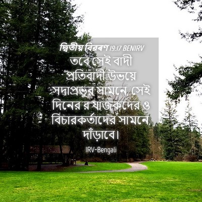 Picture 04 - দ্বিতীয় বিৱৰণ 19:17 BENIRV - তবে সেই বাদী - Bible Verse Picture