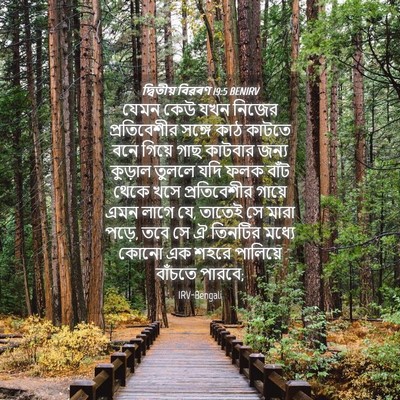 Picture 04 - দ্বিতীয় বিৱৰণ 19:5 BENIRV - যেমন কেউ যখন নিজের - Bible Verse Picture
