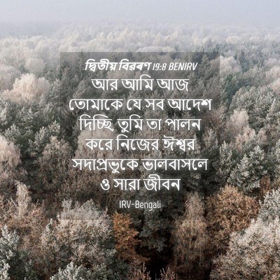 Picture 04 - দ্বিতীয় বিৱৰণ 19:8 BENIRV - আর আমি আজ তোমাকে যে - Bible Verse Picture