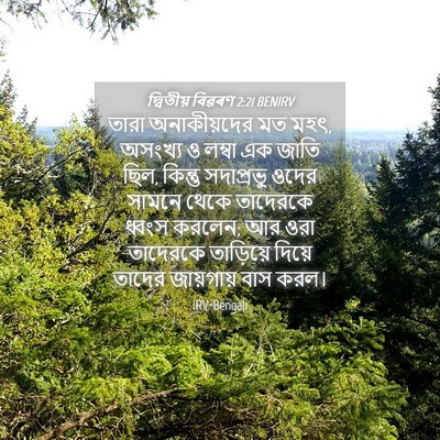 Picture 04 - দ্বিতীয় বিৱৰণ 2:21 BENIRV - তারা অনাকীয়দের - Bible Verse Picture