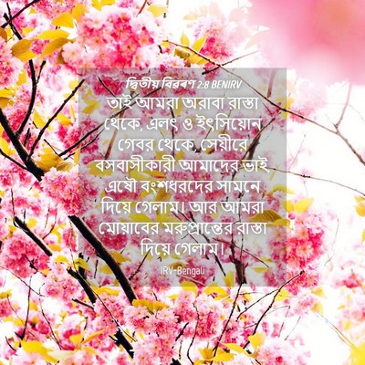 Picture 04 - দ্বিতীয় বিৱৰণ 2:8 BENIRV - তাই আমরা অরাবা - Bible Verse Picture